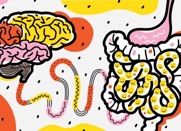 Perché nessuno parla dell’asse intestino-cervello: parte 2 bowel_1